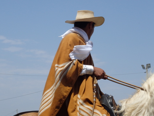 Peruvian Step Horse Show.